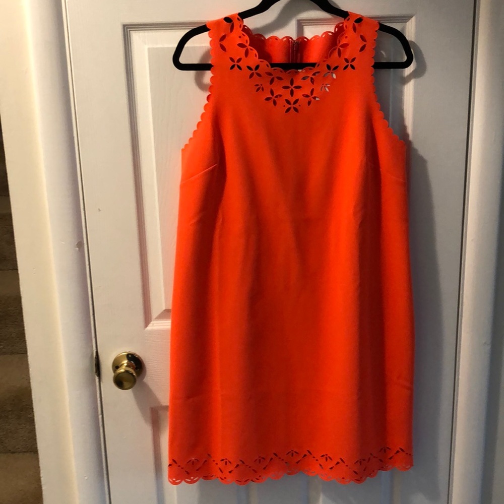 NWT Lasercut Shift dress